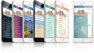Cozi Gold Themes