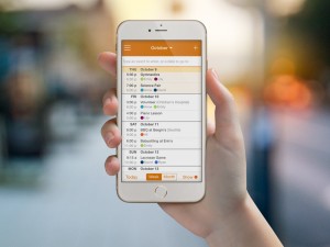 Cozi App Calendar on Phone