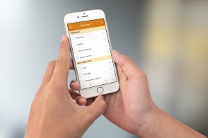 Cozi App Shopping List on Phone