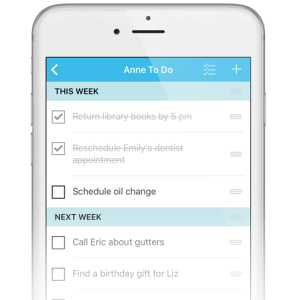 Anne To Do List