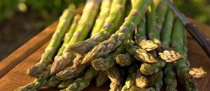 Spring Seasonal produce