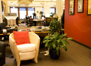 Cozi Early Office