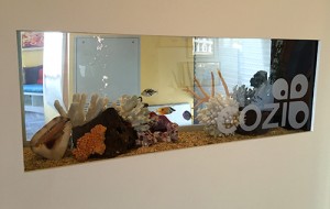 Cozi Aquarium