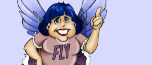 flylady zones