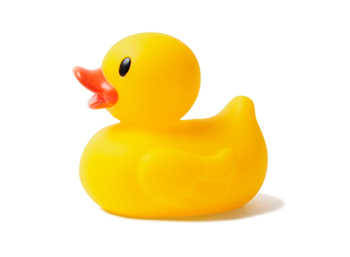 Rubber Duck