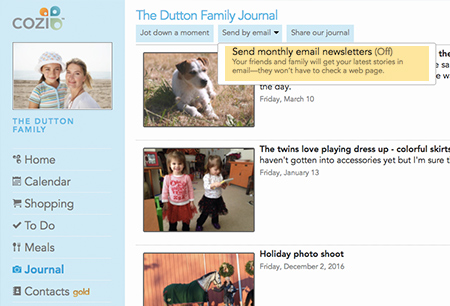 Email Newsletters