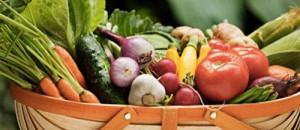 Summer Produce List