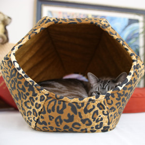the cat ball