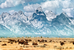 national parks