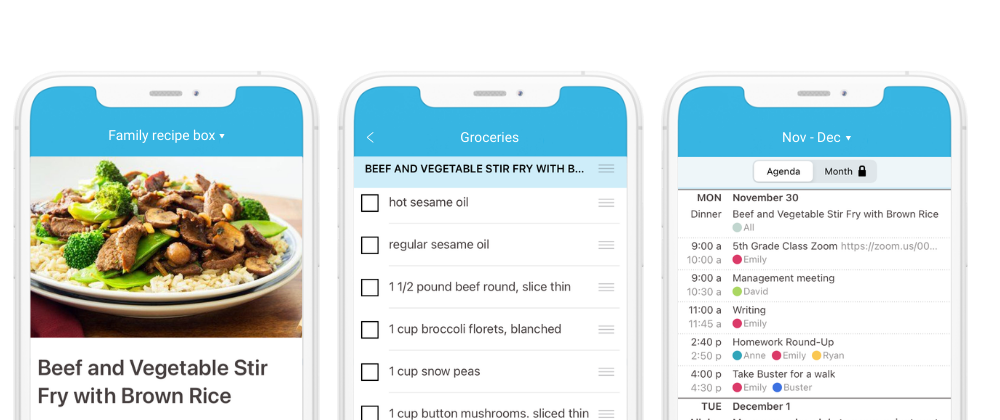 Meals and Recipe Box - Cozi Family Organizer