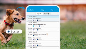 Dog with color-coded Cozi dot to easily see pet's schedule
